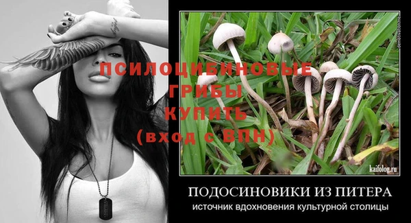 стафф Арсеньев