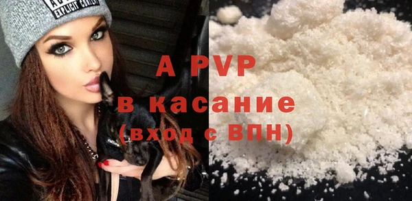 стафф Арсеньев